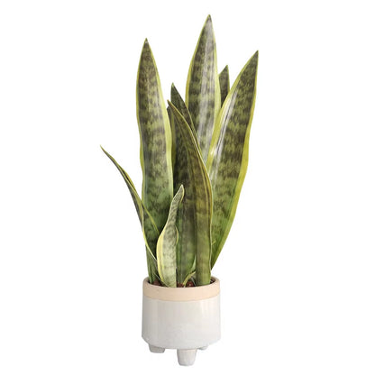 Artificial Plants Realistic Succulents Indoor and Outdoor Aloe Vera Tropical Fake Long Leaves Room Decoration Accessories