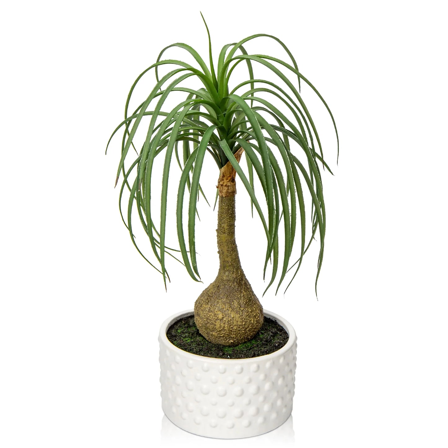 16" Fake Plants Artificial Potted Plants Artificial Ponytail Palm Plant in Pots Faux Bonsai Plants Home Decor