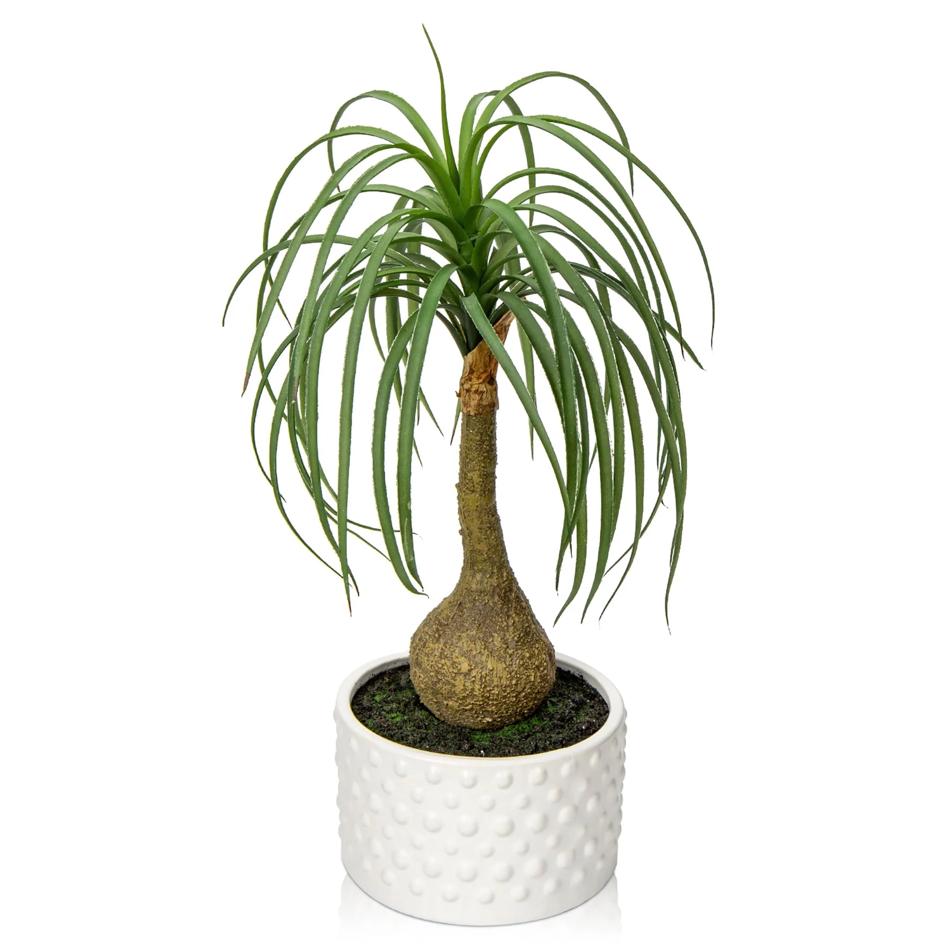 16" Fake Plants Artificial Potted Plants Artificial Ponytail Palm Plant in Pots Faux Bonsai Plants Home Decor